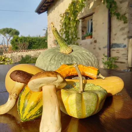 Cascina La Cinciallegra Oda ve Kahvaltı Oggiono